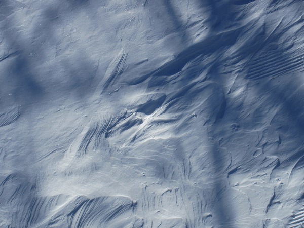 5.前夜の風でできた雪の風紋.jpg